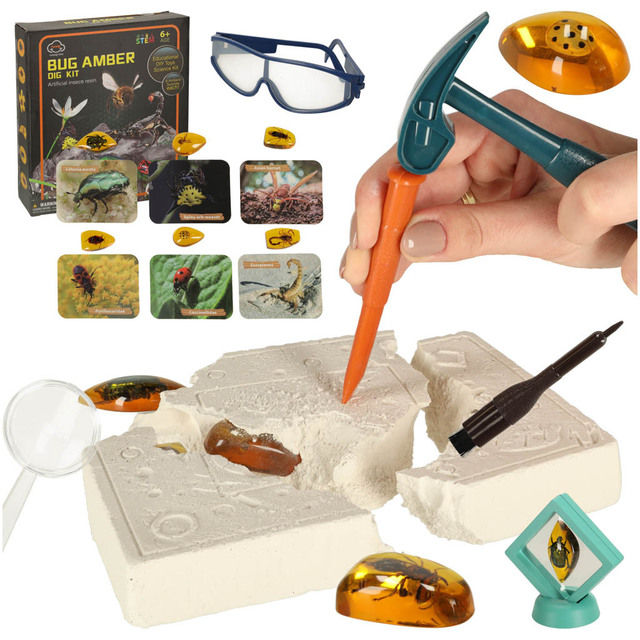 Educational set - archaeological excavations of insects KX3579