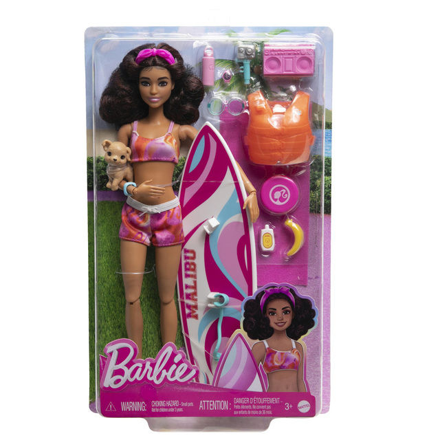 Barbie Surfer Doll Mattel Barbie Surfer Brunette (HPL69)