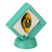 Educational set - archaeological excavations of insects KX3579