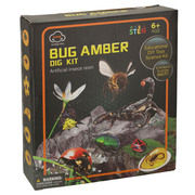 Educational set - archaeological excavations of insects KX3579