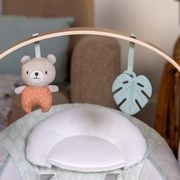 INGENUITY swing-bed COZY SPOT, 0 - 9 months, NATE