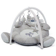 Babyzee Bear Necessities Play Gym (0m+)