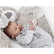 Babyzee Bear Necessities Play Gym (0m+)