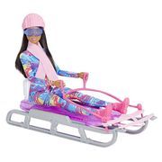 Barbie doll with sledge Mattel - Barbie and Her Sledge