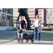 Pinolino AddPlus folding stroller-carriage gray