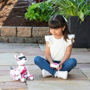 Robot dog Zoey the Robo Dog