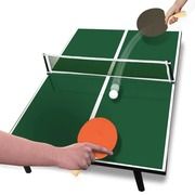 Table tennis table Ping-Pong Table Top