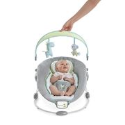Vibration Baby Bouncers Ingenuity Sooth n Delight Bouncer - Savvy Safari