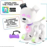 Toy robot MintID Dog-E 1691W
